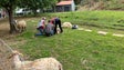 Imagem de Tradição das tosquias (vídeo)