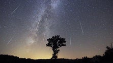 Imagem de Chuva de estrelas leva centenas ao Pico do Areeiro (vídeo)