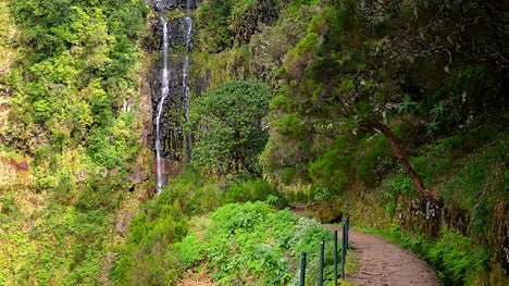 Casal de turistas esteve perdido na levada das 25 Fontes