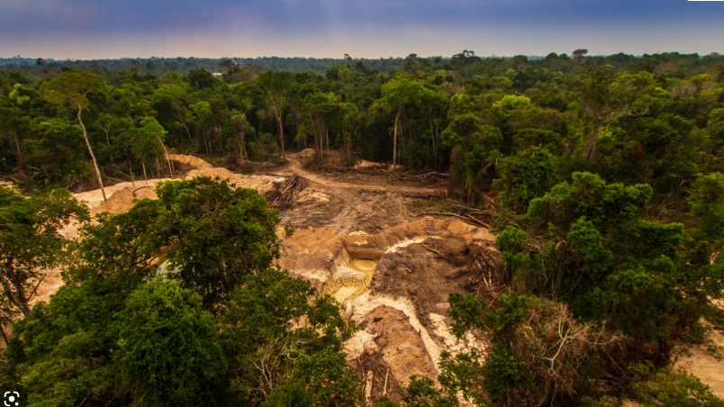 Imagem de Desflorestação na Amazónia brasileira atinge recordes