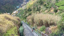 Imagem de Sky Speed da Ribeira dos Socorridos (vídeo)