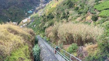 Sky Speed da Ribeira dos Socorridos (vídeo)