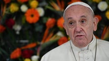Imagem de Papa Francisco apela ao combate às alterações climáticas