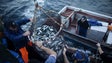 Imagem de Eurodeputados vêm para falar com os pescadores madeirenses
