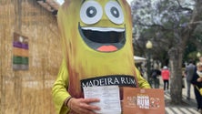 Imagem de Produtores de rum temem pela falta de cana de açúcar (vídeo)