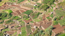 Imagem de A Madeira vai ter um banco de terras