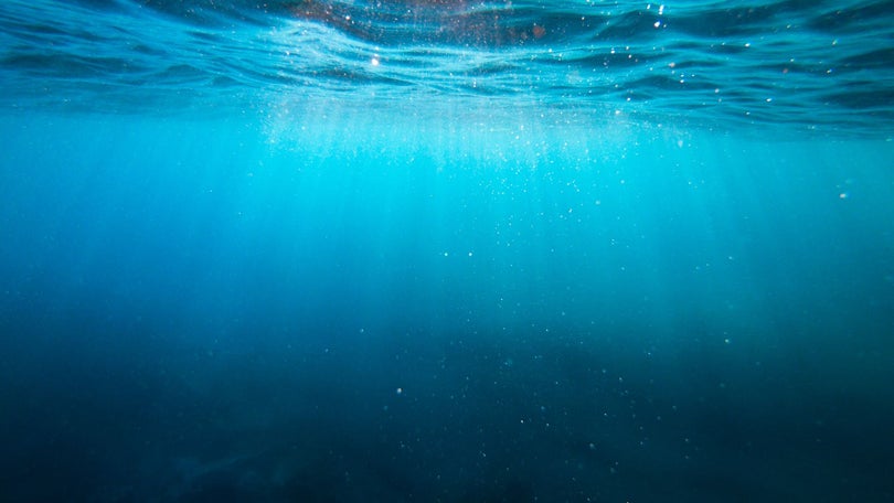 Imagem de Mineração do mar dos Açores proibida até 1 de janeiro de 2050