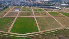 Loures recolhe 125 toneladas de resíduos do  Parque Tejo