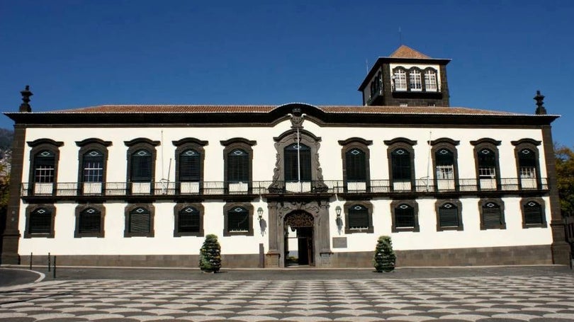 Câmara Municipal do Funchal abate árvore esta quinta-feira