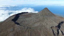Imagem de Turismo no Pico: Empresários falam num crescimento sem precedentes