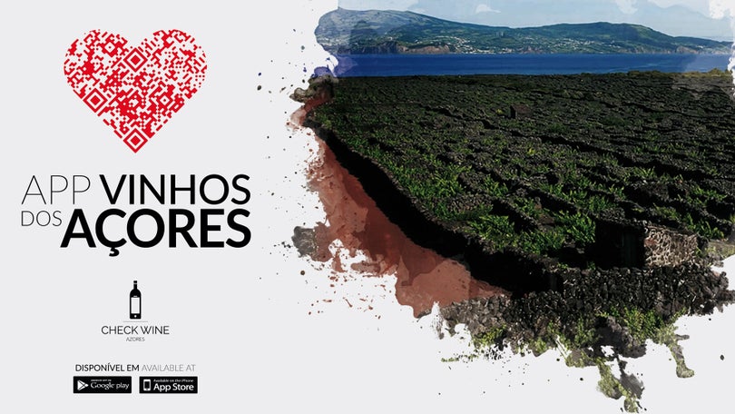 Imagem de Guia dos vinhos