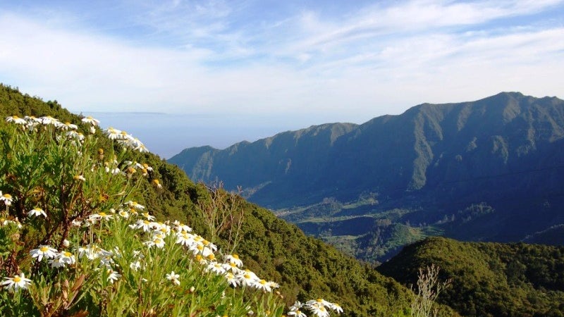Imagem de Madeira regista pequena descida de temperatura
