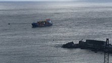 Imagem de Navio Malena já está ao largo das Flores (Vídeo)