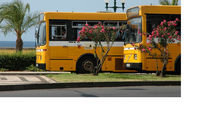 Imagem de Horários do Funchal altera percursos