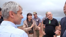 Imagem de Limpeza de 9 hectares custa 334 mil euros