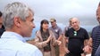 Imagem de Limpeza de 9 hectares custa 334 mil euros