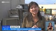 Imagem de Foram recolhidas seis toneladas de monstros no Porto Santo (Vídeo)