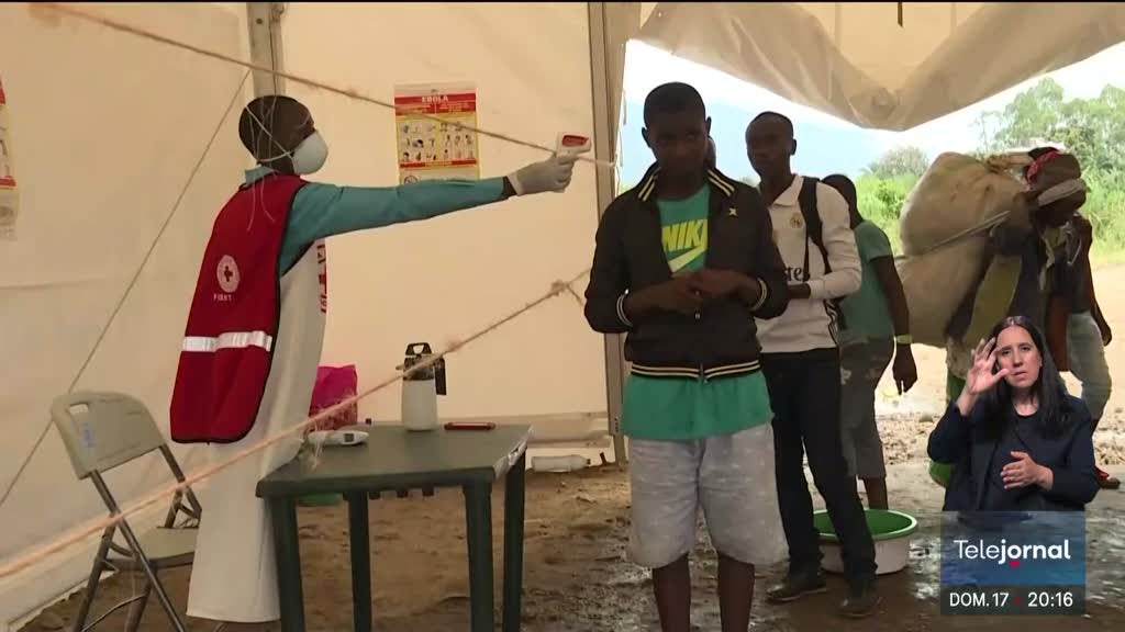 Ebola: OMS Declara Emergência em Congo e Uganda - saúde news from RTP - Rádio e Televisão de Portugal