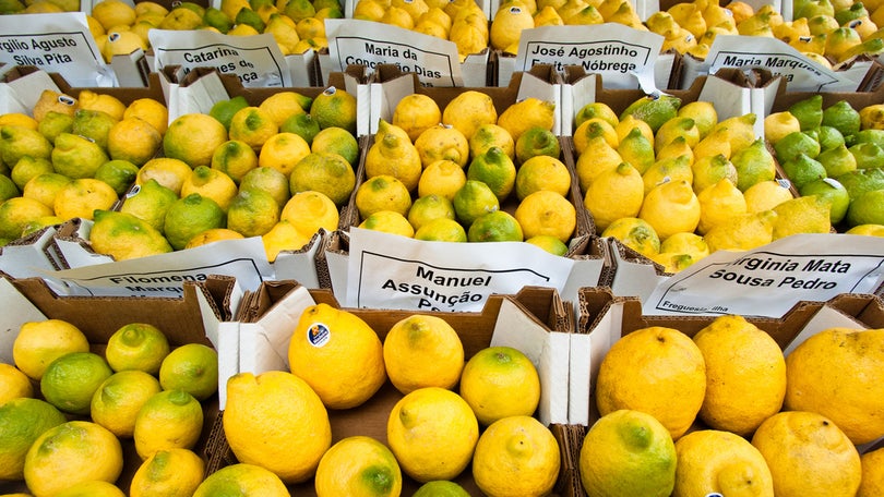 Festa do Limão na mais nova freguesia da Madeira