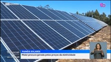 Imagem de Subida dos preços da eletricidade e do gás leva empresas e famílias a apostar nas energias renováveis (vídeo)