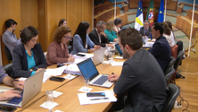 Imagem de Sofia Ribeiro aposta nas escolas digitais (Vídeo)