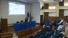 Imagem de Universidade dos Açores e Instituto Universitário Militar intensificam cooperação em projetos de interesse comum