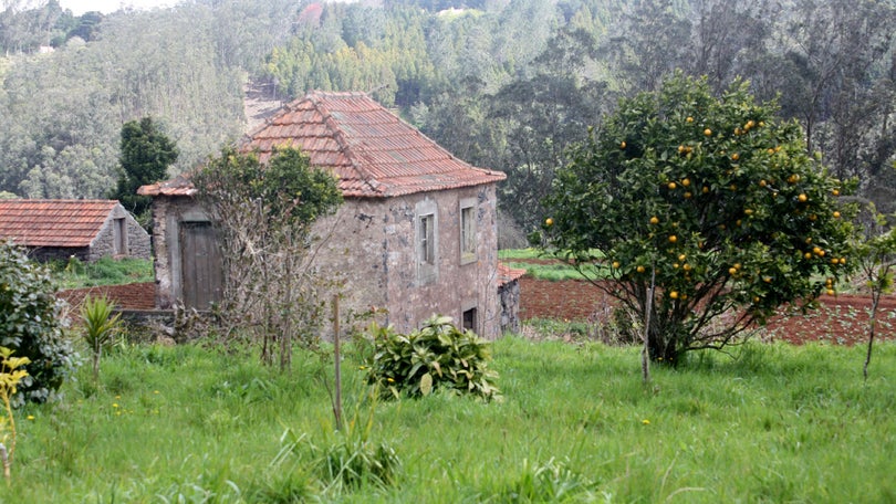 Imagem de Idoso desaparecido desde domingo encontrado com vida