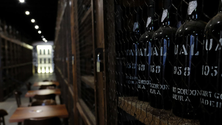 Imagem de Madeira Wine Company reabre em julho (Vídeo)