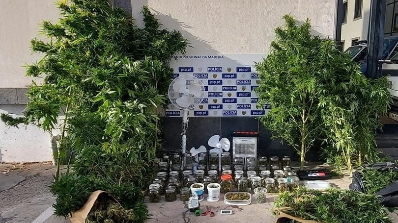 Imagem de Homem detido no Funchal por tráfico de estupefacientes