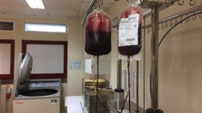 Imagem de Banco de Sangue recebeu mais de 2000 dádivas até maio