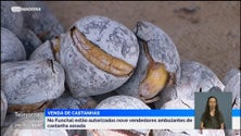 Imagem de Primeiros vendedores de castanhas já estão no Funchal (vídeo)