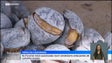 Imagem de Primeiros vendedores de castanhas já estão no Funchal (vídeo)