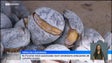 Primeiros vendedores de castanhas já estão no Funchal (vídeo)