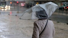 Imagem de Madeira sob aviso amarelo devido à chuva e vento