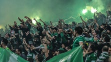 Imagem de PSP detém 27 «simpatizantes do Benfica e do Sporting» suspeitos de agressões