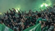 Imagem de PSP detém 27 «simpatizantes do Benfica e do Sporting» suspeitos de agressões