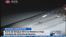 Surto de dengue em 2012, é hoje exemplo de como as autoridades públicas de saúde trabalharam no controlo da infeção viral (Vídeo)