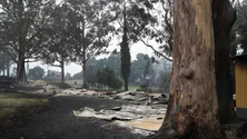 Imagem de 70 agricultores começam hoje a receber apoio para lavrar os terrenos (áudio)