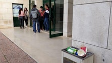 Imagem de UMa vence desafio ecológico da Novo Verde