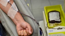 Imagem de Governo promete maior acompanhamento de doentes hemofílicos