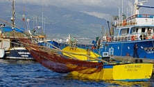 Imagem de Pescadores insatisfeitos com o que vão receber do Fundopesca (Vídeo)