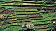 Madeira vai ter uma rede de agricultura biológica