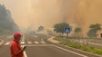 Imagem de Cenário de terra queimada nos Prazeres (vídeo)