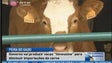 Imagem de Madeira importa 80% da carne de vaca que consome (Vídeo)