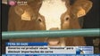 Madeira importa 80% da carne de vaca que consome (Vídeo)