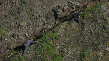 Imagem de Limpeza da escarpa em São Vicente e Ponta Delgada (vídeo)