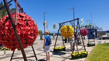 Imagem de Festa da Flor termina domingo