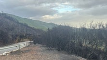 Imagem de Situação nas zonas habitacionais da Calheta está controlada (vídeo)