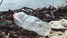 Imagem de Encontrados plásticos e microplásticos em todas as espécies marinhas (Vídeo)