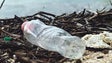 Encontrados plásticos e microplásticos em todas as espécies marinhas (Vídeo)